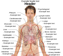 Testosterone medicine side effects